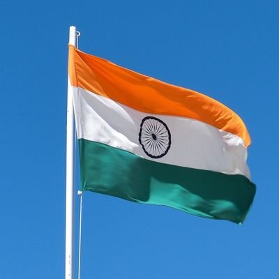 kartiks49457133's profile picture. 