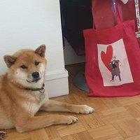 ShibAvocate 🥑 🦊 💙💛 (@shibavocate) 's Twitter Profile Photo ShibAvocate 🥑 🦊 💙💛 (@shibavocate) 's Twitter Profile Photo