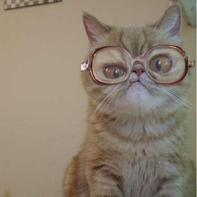 Leo cuando me dejan. Intento no pasar sed. Busco sin descanso el libro del año, pese a los críticos literarios.
