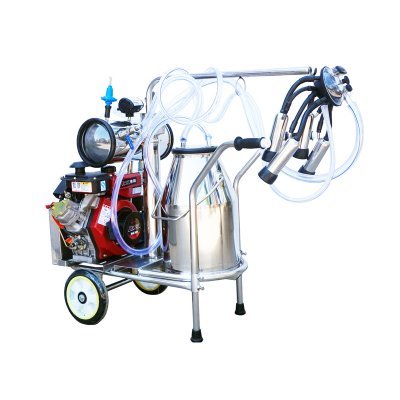 Milking machine | Milk pasteurizer | Cooling tank | Dairy freestall | Milk can...
+86 177 8811 2899