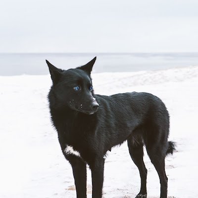 LuoXinzhe's profile picture. 