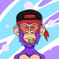 Easy.E (@c_0_p_y_c_a_t) 's Twitter Profile