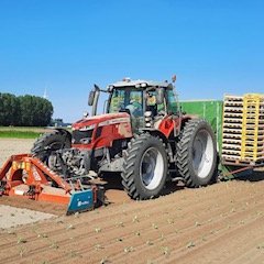 Biologische akkerbouw in Zevenbergen, gangbare akkerbouw in Biled, Roemenie