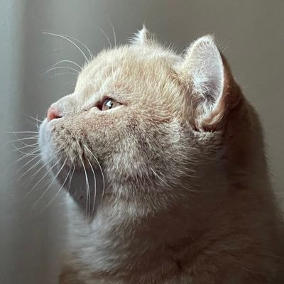 OnlyLovelyB's profile picture. อย่าเด้อ กูหยุมเป็นเด้อ