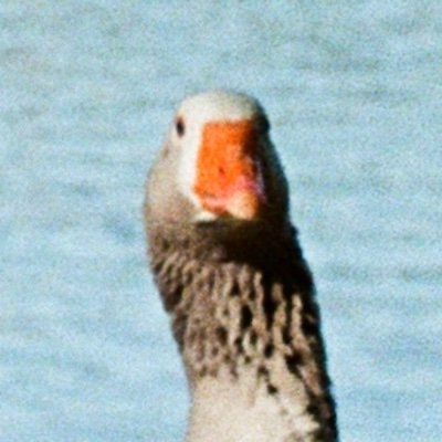 ivposureさんのプロフィール画像