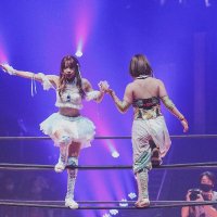 Storybook TJPW (also on bsky) (@storybooktjpw) 's Twitter Profile Photo