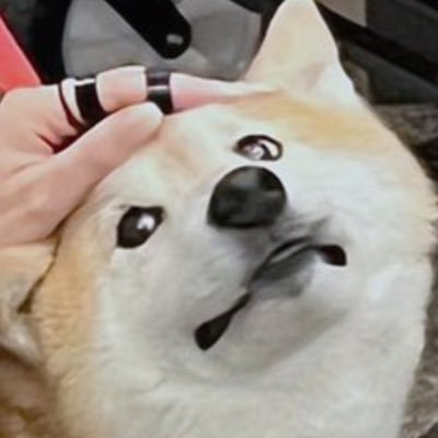 Doge of Drift0r. I'm from Okinawa, and I am deaf! I have a brother named Ozy, and we have 1v1's all the time. I love my family! (fan)