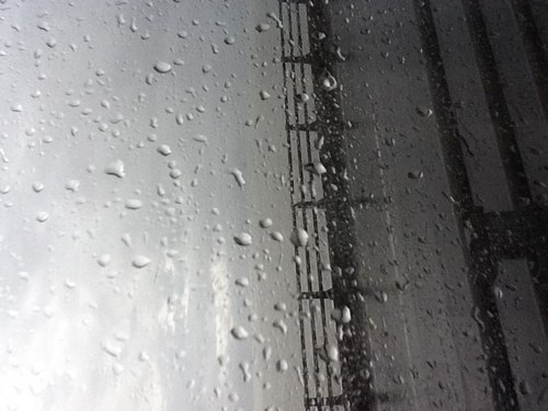 Hzilex's profile picture. 