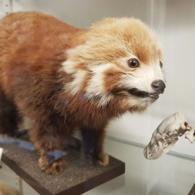 PowerMeath's profile picture. Typical liberal