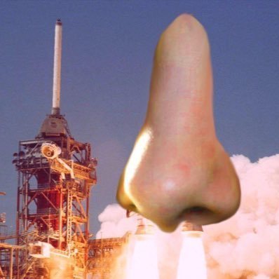 flenchmann's profile picture. DR;NS | 555-Nose