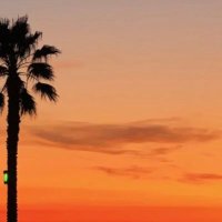 SUNSET (@sunset424_) 's Twitter Profile