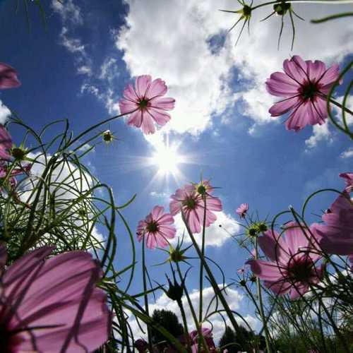 tique99's profile picture. 평범한 직장인, 두아이 아빠, 맘으로 응원하는 소시민...