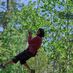 MEHudson,Fredericton (@meinfreddybeach) Twitter profile photo MEHudson,Fredericton (@meinfreddybeach) Twitter profile photo