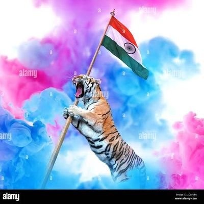 tOpPSQL4e5q6sqE's profile picture. अगर हिन्दू कट्टर बन रहा है तो उसका जवाबदार सिर्फ मुस्लिम है क्योकि अब हिन्दू सहने के मूड में नहीं है हर हर महादेव🙏🙏🙏