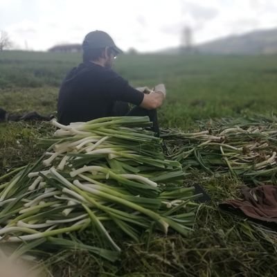 Euskal Herrian.
Klase borroka, botanika eta metereologia. Eta nola ez, iraultzapoza.