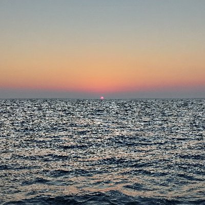 Deanna_P's profile picture. 