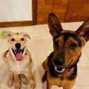 Woody YIP - @woody_yip2 - Twitter