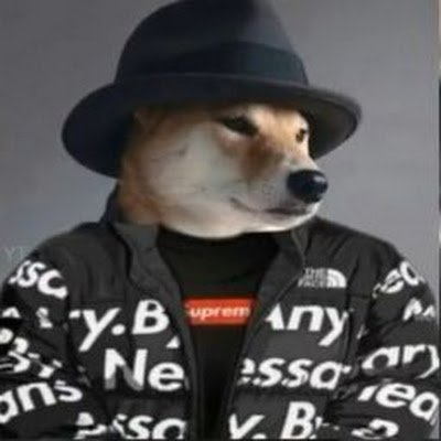 NINJA4856027461's profile picture. 