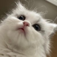 뮤❕ (@5asw1j) 's Twitter Profile