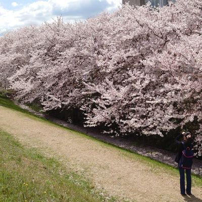 基本ゲーム垢に浮上。イラストを載せます。趣味で撮る写真

無言フォローすみません