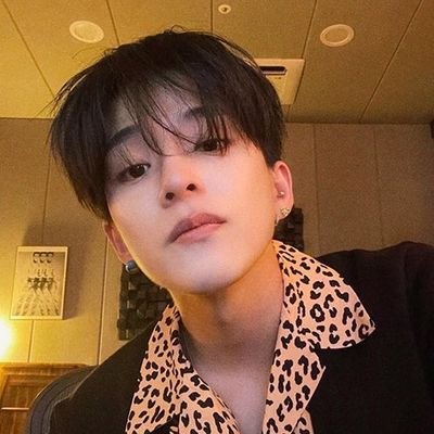 오챠さんのプロフィール画像