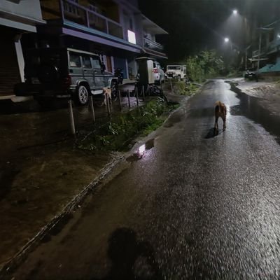 rajeev79426231's profile picture. A farmer on the hillside