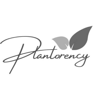 tropical plants enthusiast from indonesia
cheapest plant shop on the planet earth
dm or visit our website || ig: plantorency
whatsapp : +6281214654769