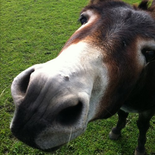 PWMaarten's profile picture. 