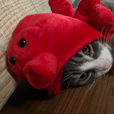 BPさんのプロフィール画像