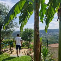 HugoGonçalves77 (@goncalves77hugo) 's Twitter Profile