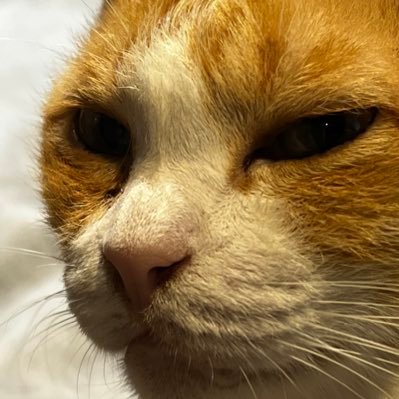 morerhymes's profile picture. just aka