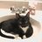 crissykittymeow's profile image