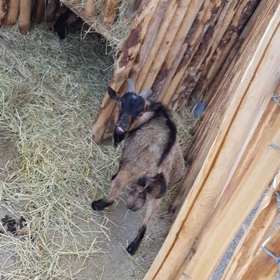 Hez_Fr's profile picture. Gagne à ne pas être connu