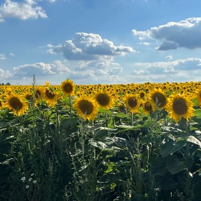 day_freiheit's profile picture. Gerne leben