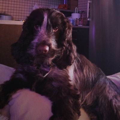 Tzonpat1972's profile picture. 