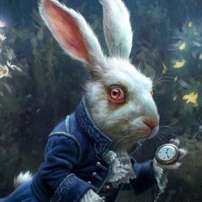 ylannguez's profile picture. Web 3.0 - Follow me ✨🕚