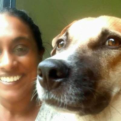 roogedara's profile picture. 