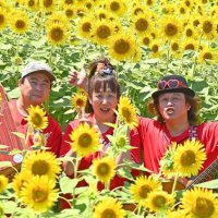 音引力 (@otoinryoku1) 's Twitter Profile Photo 音引力 (@otoinryoku1) 's Twitter Profile Photo