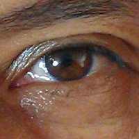 José Lamd (@joselamd2) 's Twitter Profile