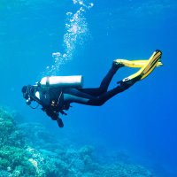 Deep Diver (@deepdiveryt) 's Twitter Profile