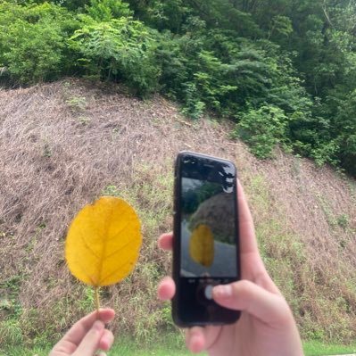 xiaoqing729's profile picture. Cryptocurrency ，Biconomy Exchange（CMC top 20），Trade Link https://t.co/5aSwol1Yld