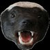D A G G S (@dachsalter) Twitter profile photo D A G G S (@dachsalter) Twitter profile photo