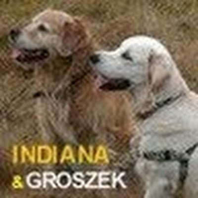 IrenaIndiana's profile picture. 