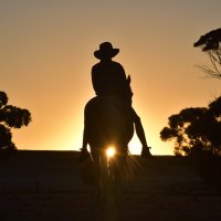 Sarah Walters (@swalters2001) 's Twitter Profile