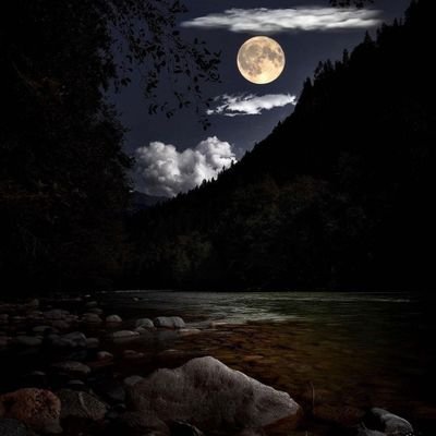 fazalerabiii's profile picture. 