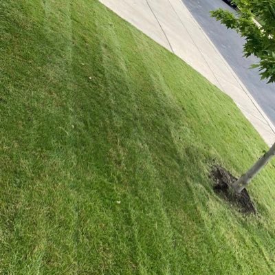 providing quality lawn service in San Antonio, Tx + surrounding areas👨🏽‍🎓🌿