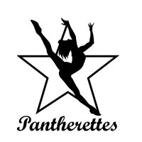 Midlothian Pantherettes(@MidloRettes) 's Twitter Profileg