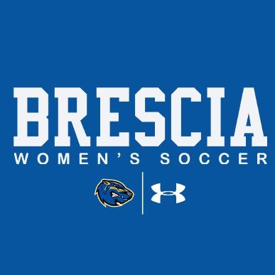 BresciaWSoc Profile Picture