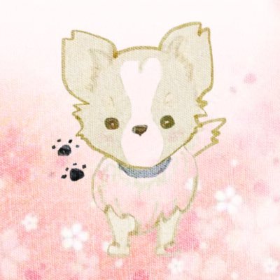 km_goro's profile picture. 🐴競馬(POG)🦅ラツィオ🀄️🐲Mリーグ