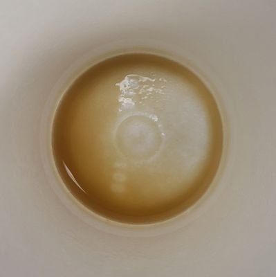 Crypto_Coffee Profile Picture